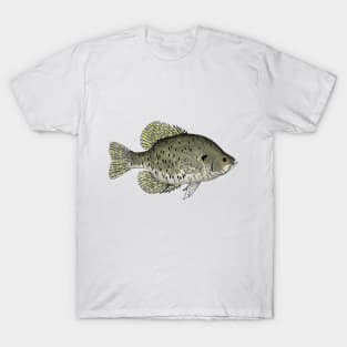 Black Crappie T-Shirt